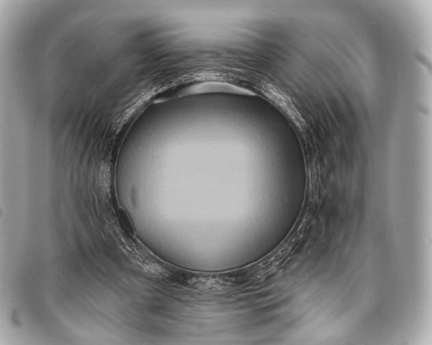 X0000096450297200802071818