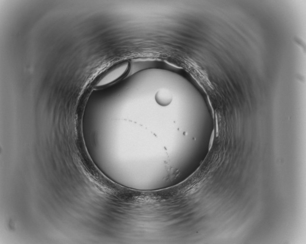 X0000096450300200802071818