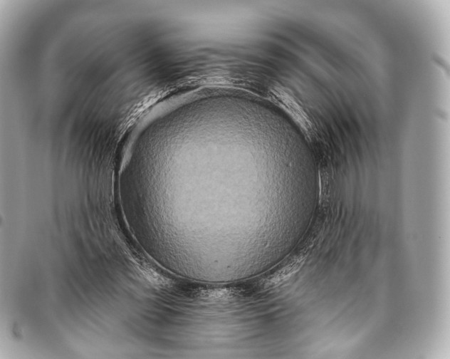 X0000096450301200802071818