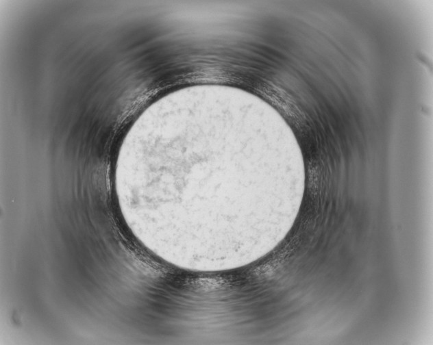 X0000096450302200802071818