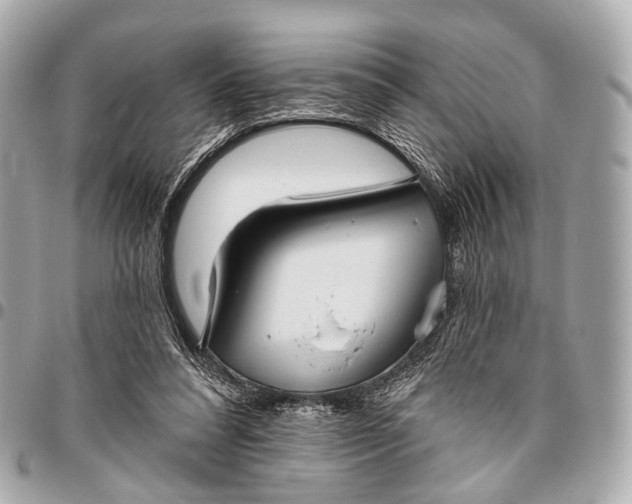 X0000096450304200802071818