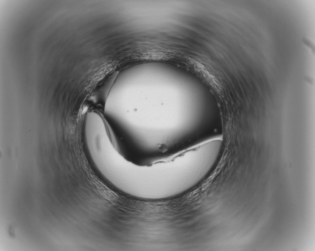 X0000096450305200802071818