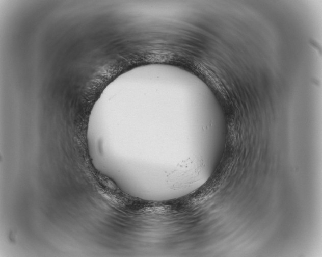 X0000096450307200802071818