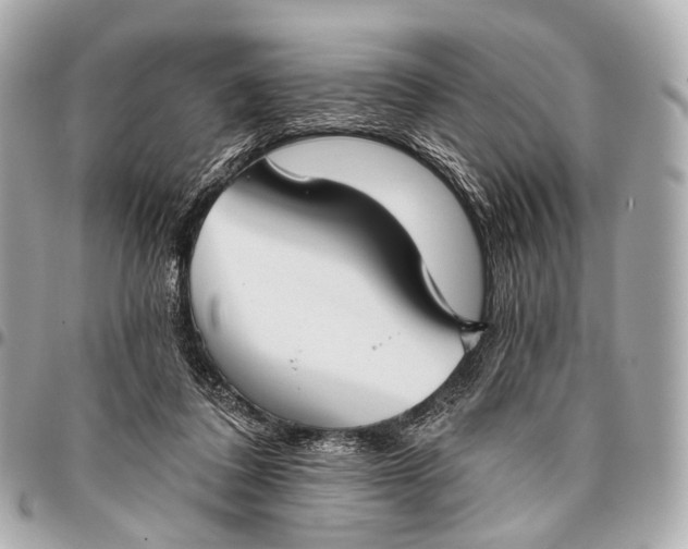 X0000096450308200802071818