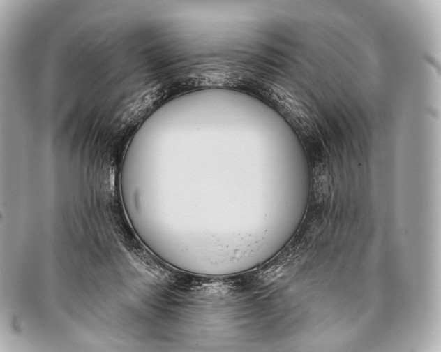 X0000096450310200802071818