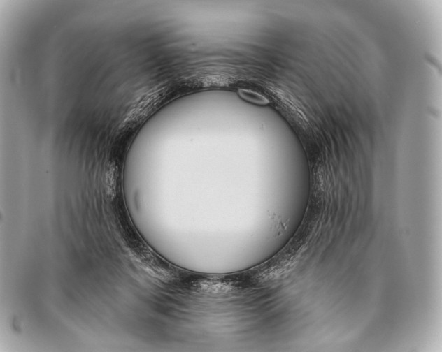 X0000096450311200802071818