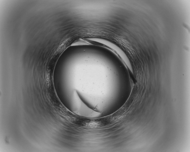 X0000096450312200802071818