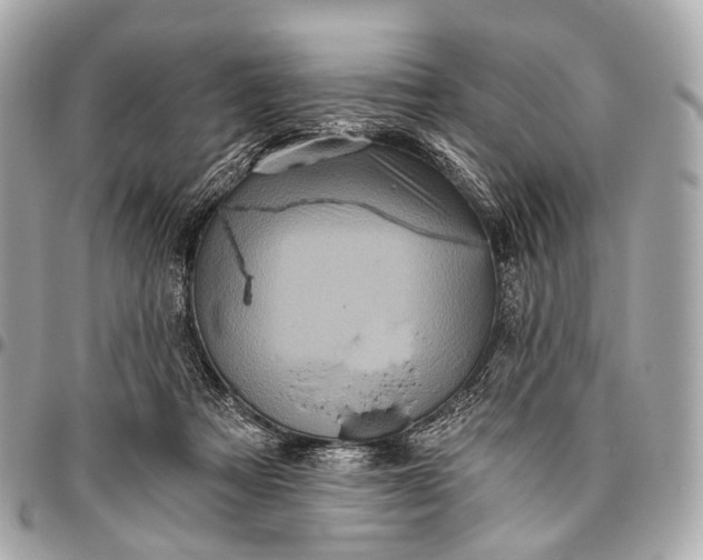 X0000096450313200802071818