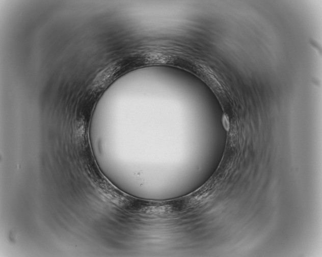 X0000096450314200802071817