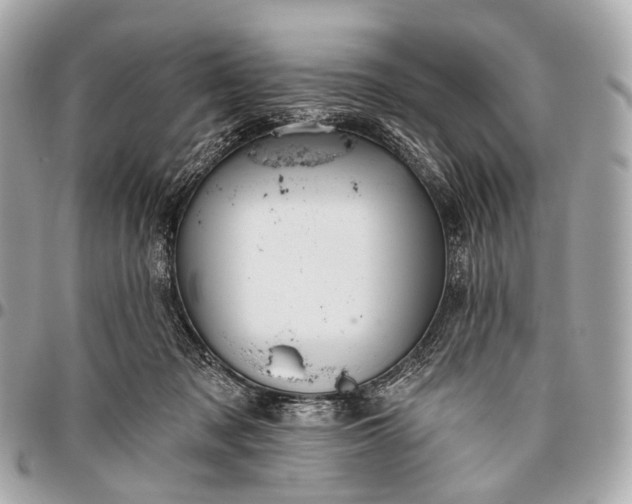 X0000096450317200802071817