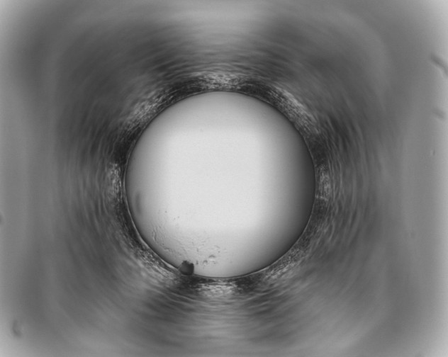 X0000096450318200802071817