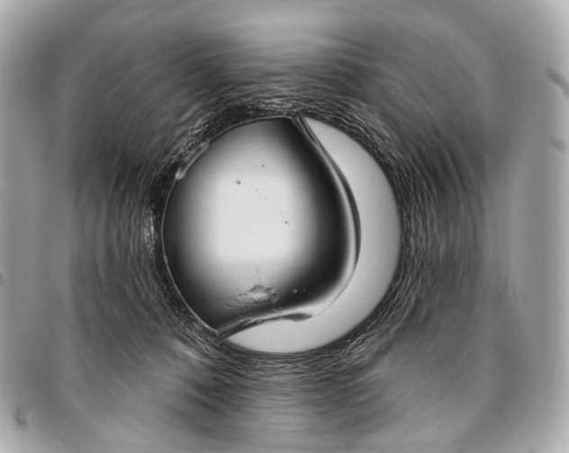 X0000096450320200802071817