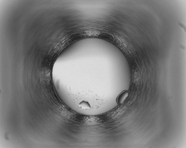 X0000096450321200802071817