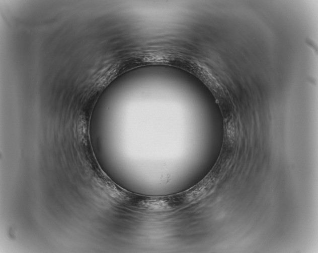 X0000096450322200802071817