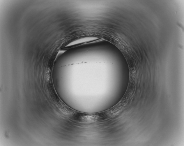 X0000096450323200802071817