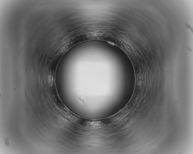 X0000096450324200802071817