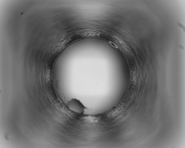 X0000096450326200802071817