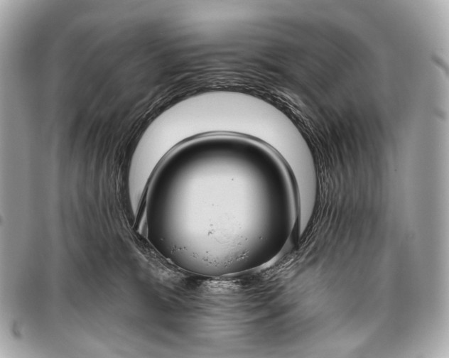 X0000096450327200802071817