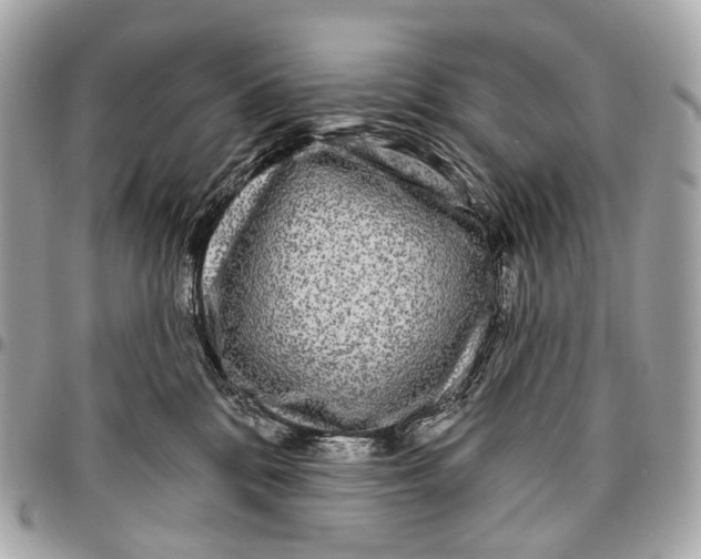 X0000096450328200802071817