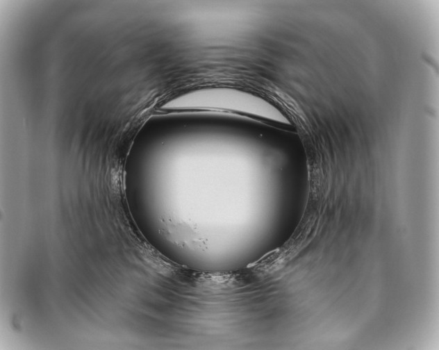 X0000096450329200802071817