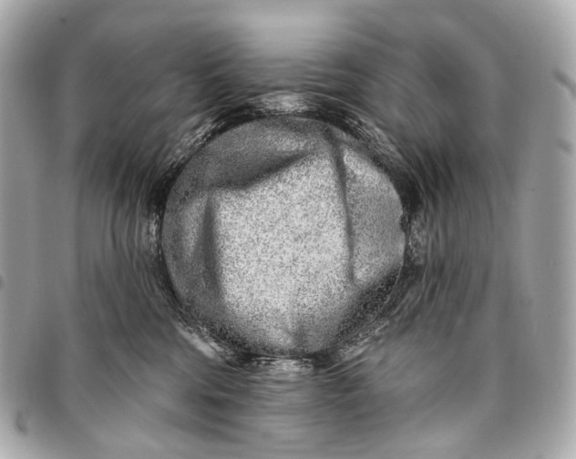 X0000096450330200802071817