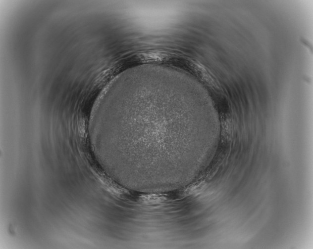 X0000096450331200802071817