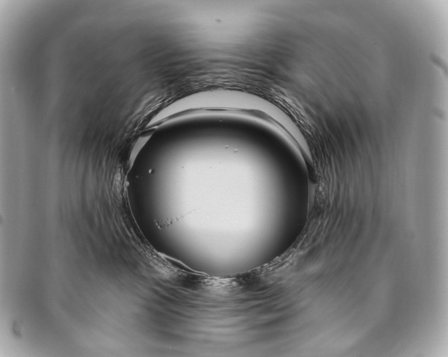 X0000096450333200802071817