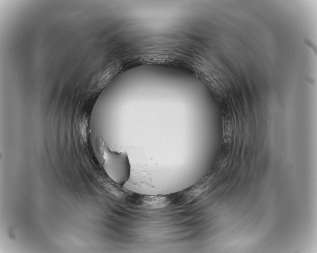 X0000096450334200802071817