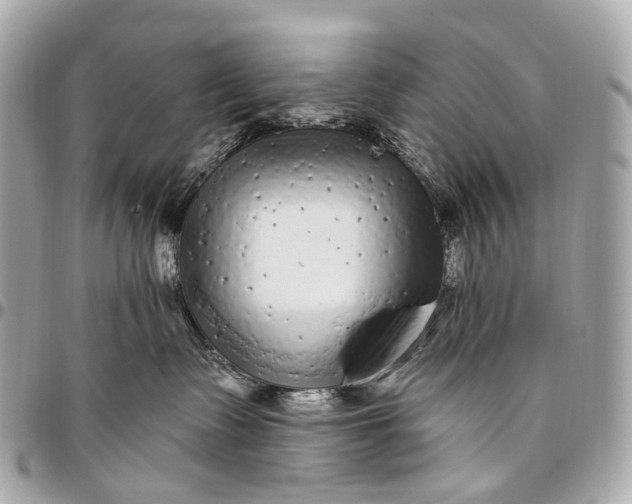 X0000096450335200802071817