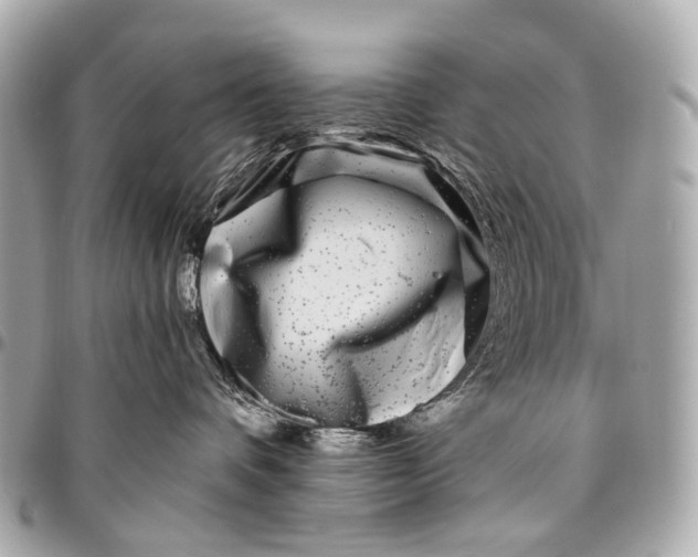 X0000096450336200802071817