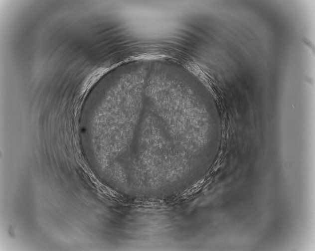 X0000096450337200802071816