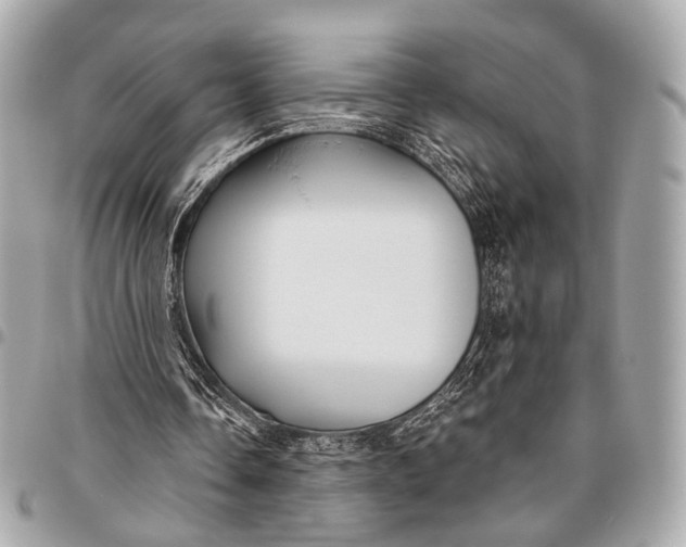 X0000096450338200802071816