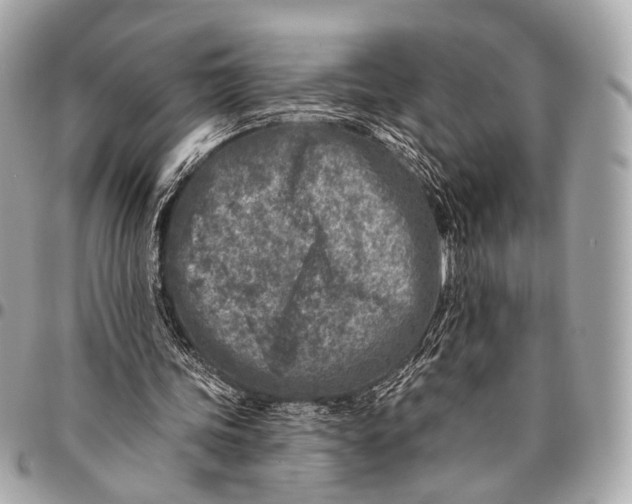 X0000096450339200802071816