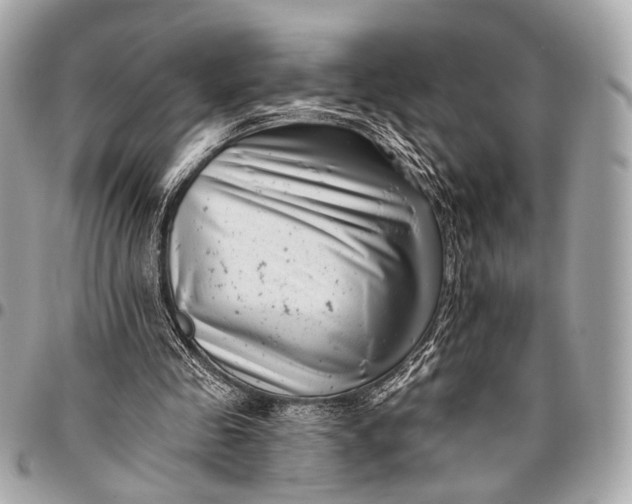 X0000096450341200802071816