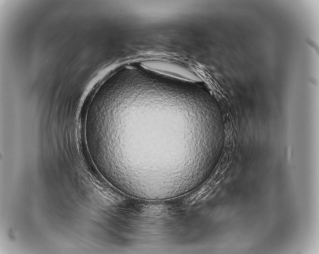 X0000096450342200802071816