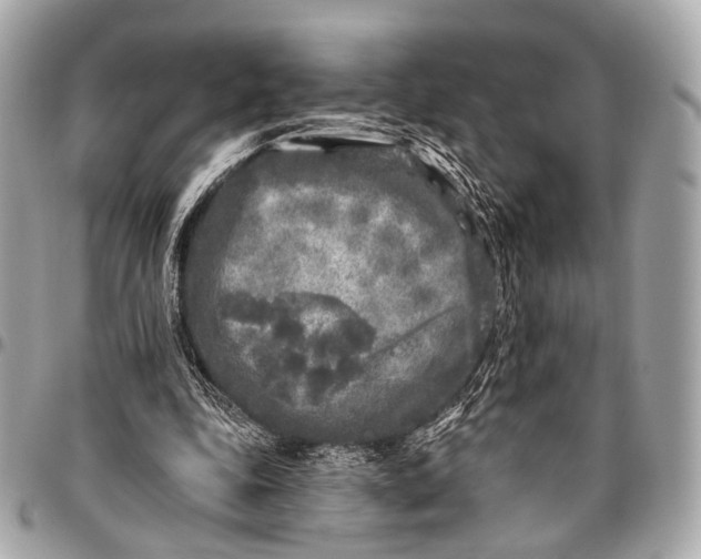 X0000096450343200802071816