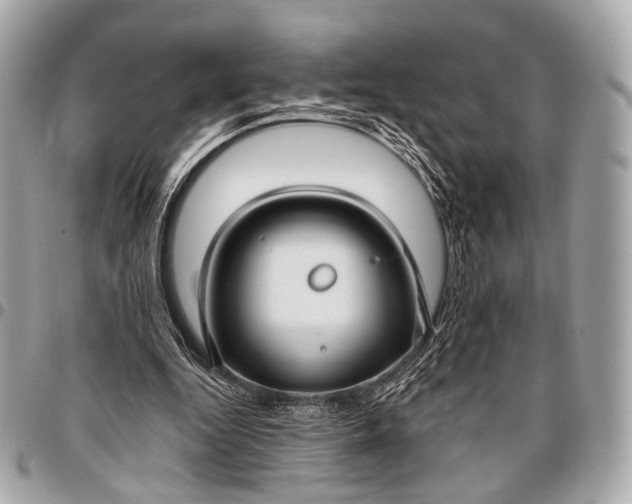 X0000096450344200802071816