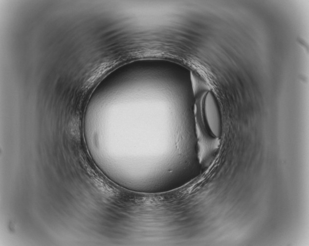 X0000096450345200802071816