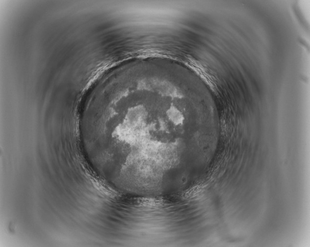 X0000096450347200802071816