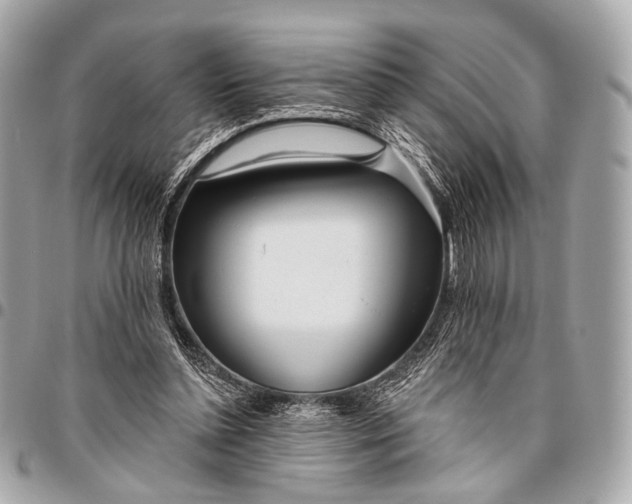 X0000096450348200802071817