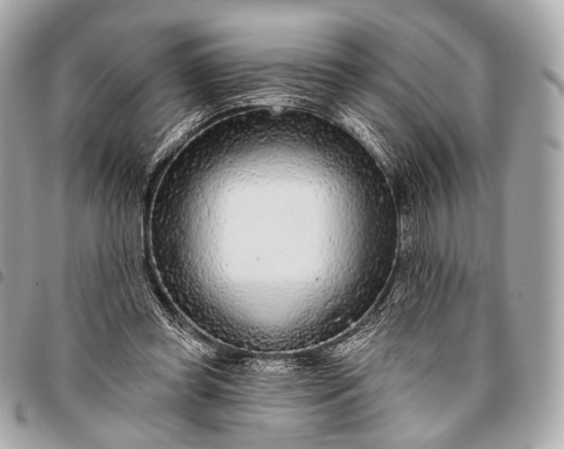 X0000096450349200802071817