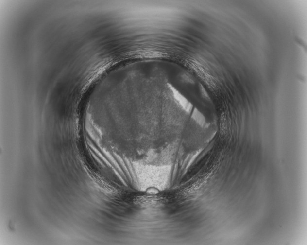 X0000096450351200802071817