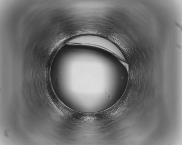 X0000096450352200802071817