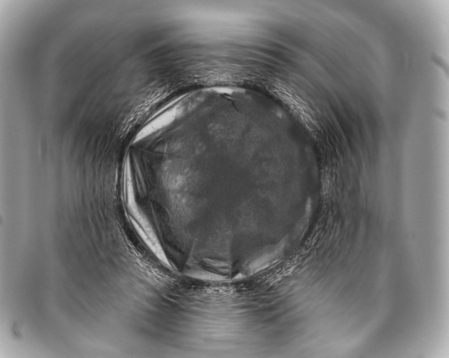 X0000096450353200802071817