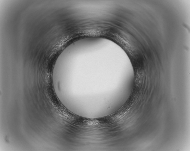 X0000096450355200802071817