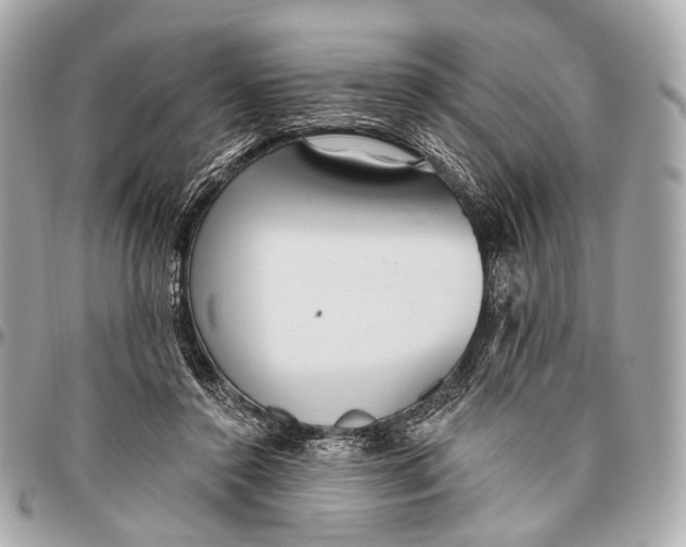 X0000096450356200802071817