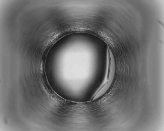 X0000096450358200802071817