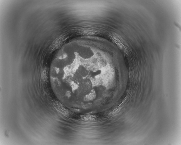 X0000096450359200802071817