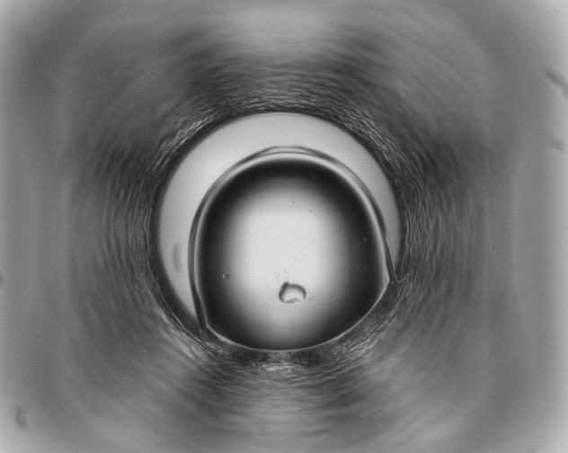 X0000096450360200802071817