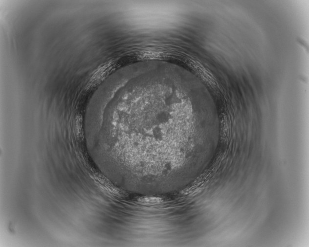 X0000096450361200802071817